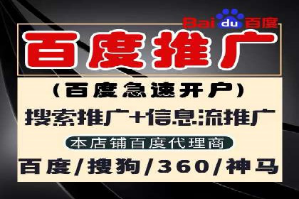SEM推广实战：案例分析与优化